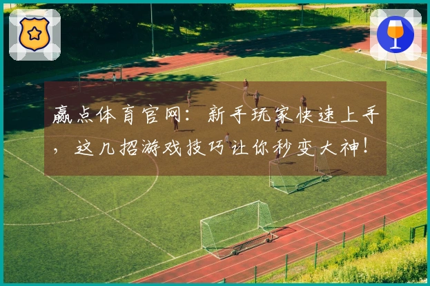 赢点体育官网：新手玩家快速上手，这几招游戏技巧让你秒变大神！