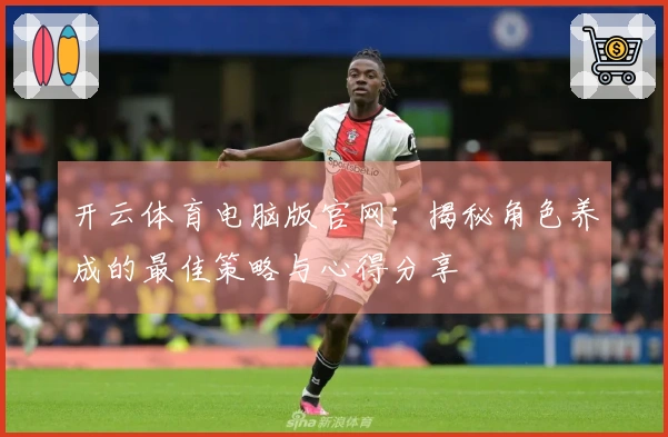 开云体育电脑版官网：揭秘角色养成的最佳策略与心得分享